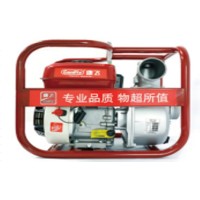 Comprar Мотопомпа CanFly бензинова, вихід Ф80мм (6,5л.с)